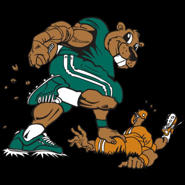 AR14 BEAVER FBLL 01 RQC Thumbnail