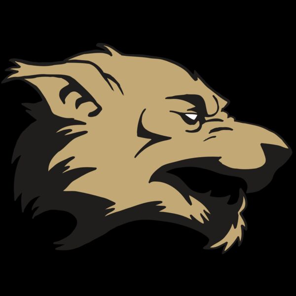 AR5 Wolf 12 RQC Thumbnail