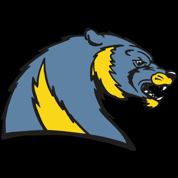 AR5 Wolverine 20 RQC Thumbnail